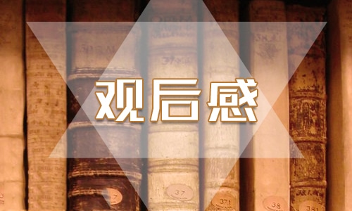 長津湖觀后感作文600字