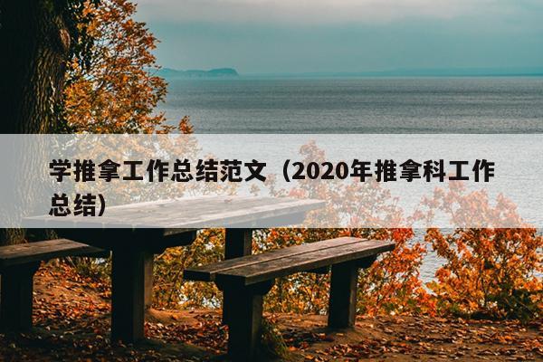 學(xué)推拿工作總結(jié)范文(2020年推拿科工作總結(jié))