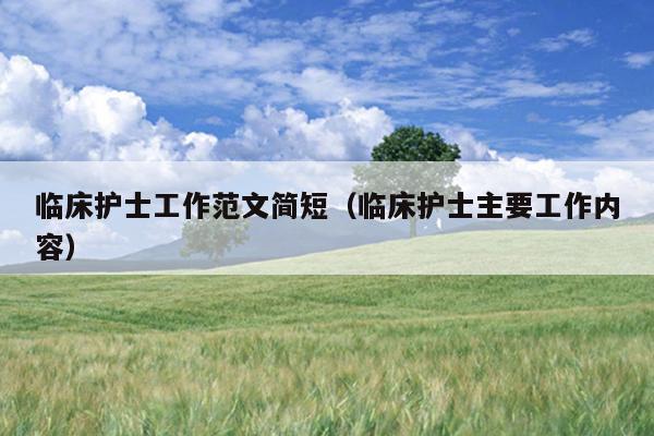 臨床護士工作范文簡短(臨床護士主要工作內容)