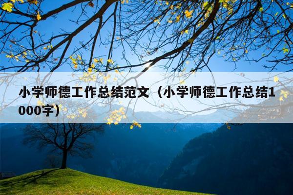 小學師德工作總結(jié)范文(小學師德工作總結(jié)1000字)