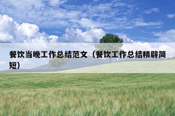 餐飲當(dāng)晚工作總結(jié)范文(餐飲工作總結(jié)精辟簡(jiǎn)短)