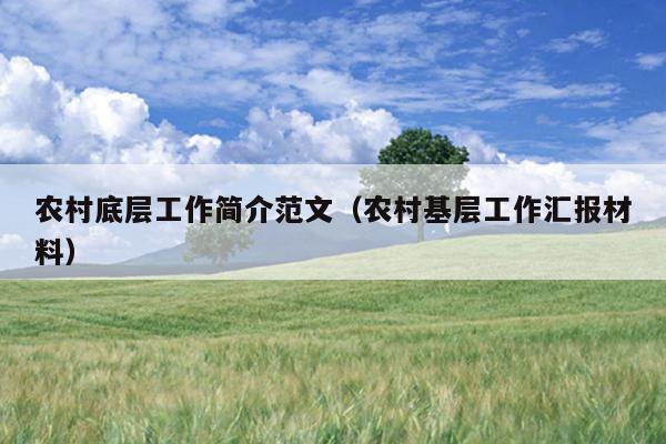 農(nóng)村底層工作簡介范文(農(nóng)村基層工作匯報材料)