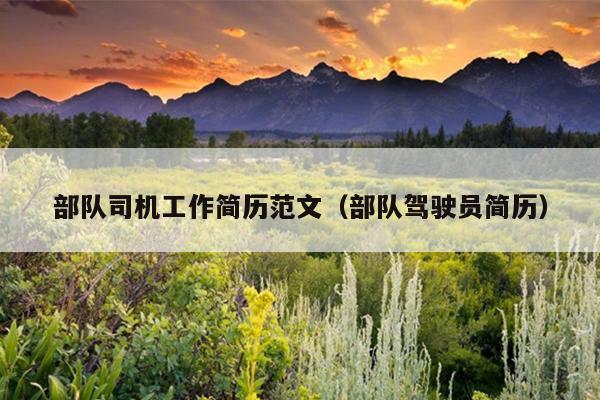 部隊(duì)司機(jī)工作簡歷范文(部隊(duì)駕駛員簡歷)