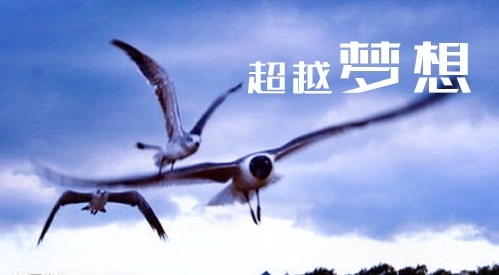 贊美堅強勵志名言