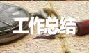 個人總結(jié)_個人工作總結(jié)精選10篇